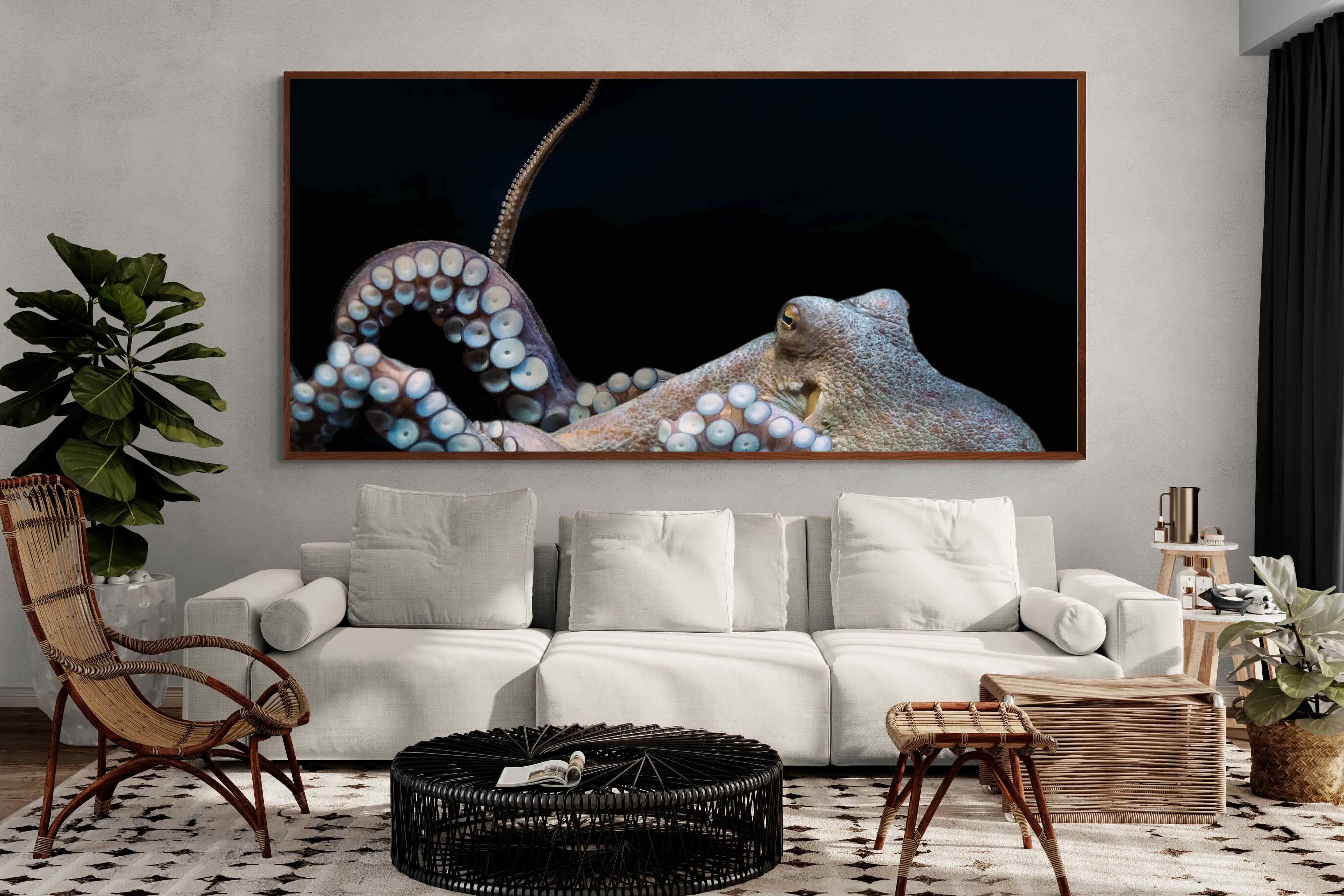 Pixalot ® Octopus