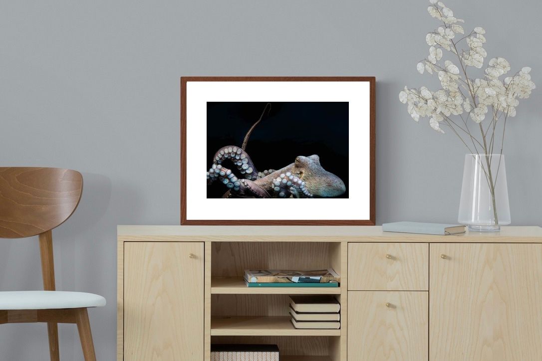 Pixalot ® Octopus
