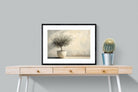 Pixalot Olive Tree in White Pot