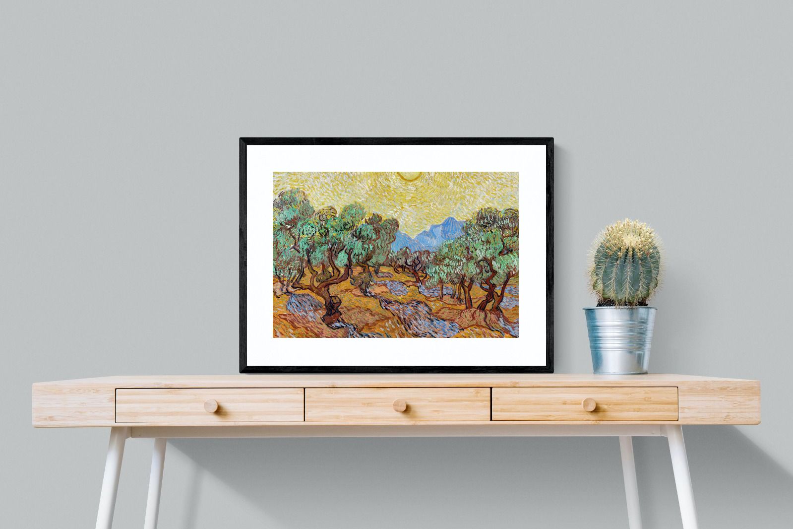 Pixalot Olive Trees