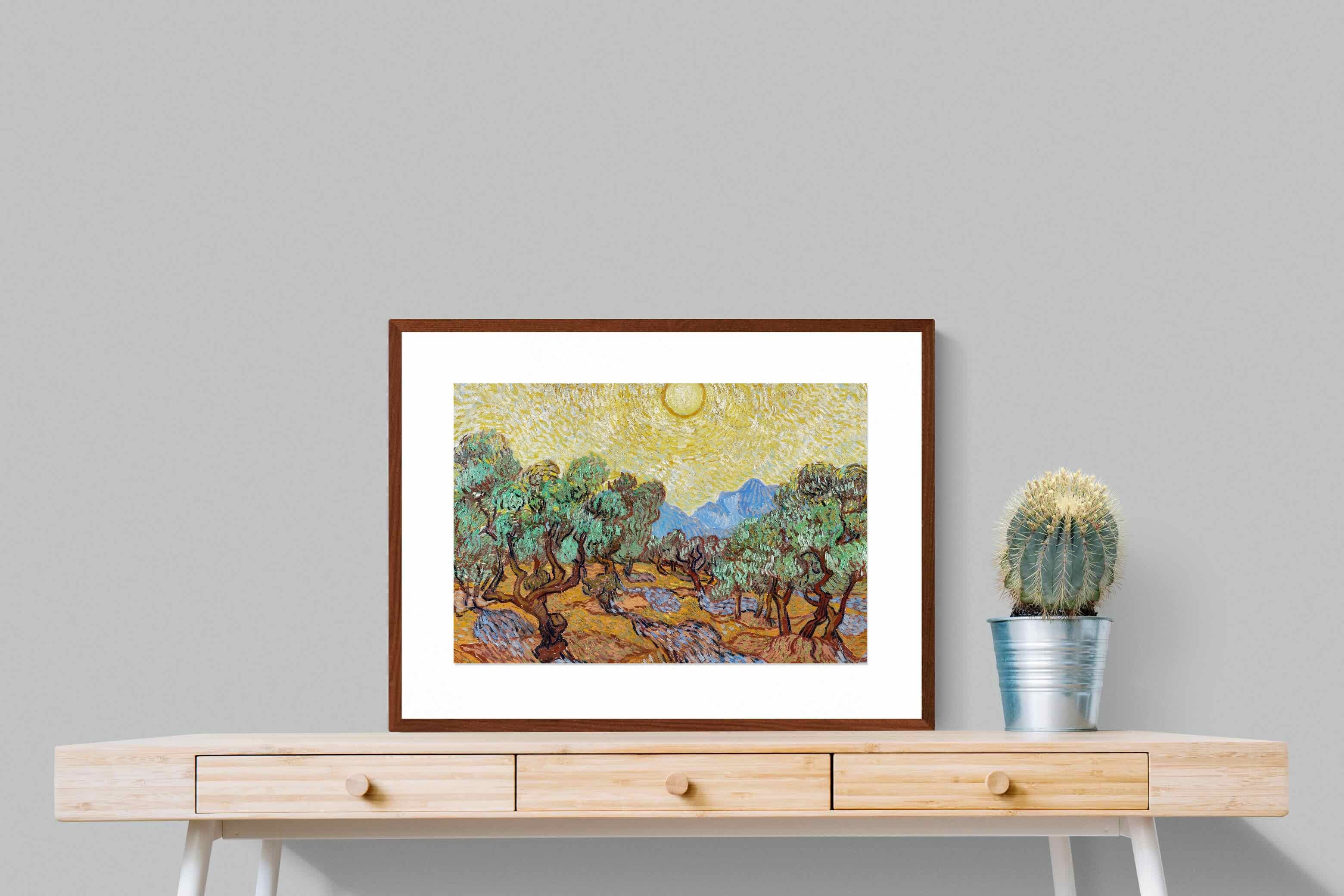 Pixalot Olive Trees