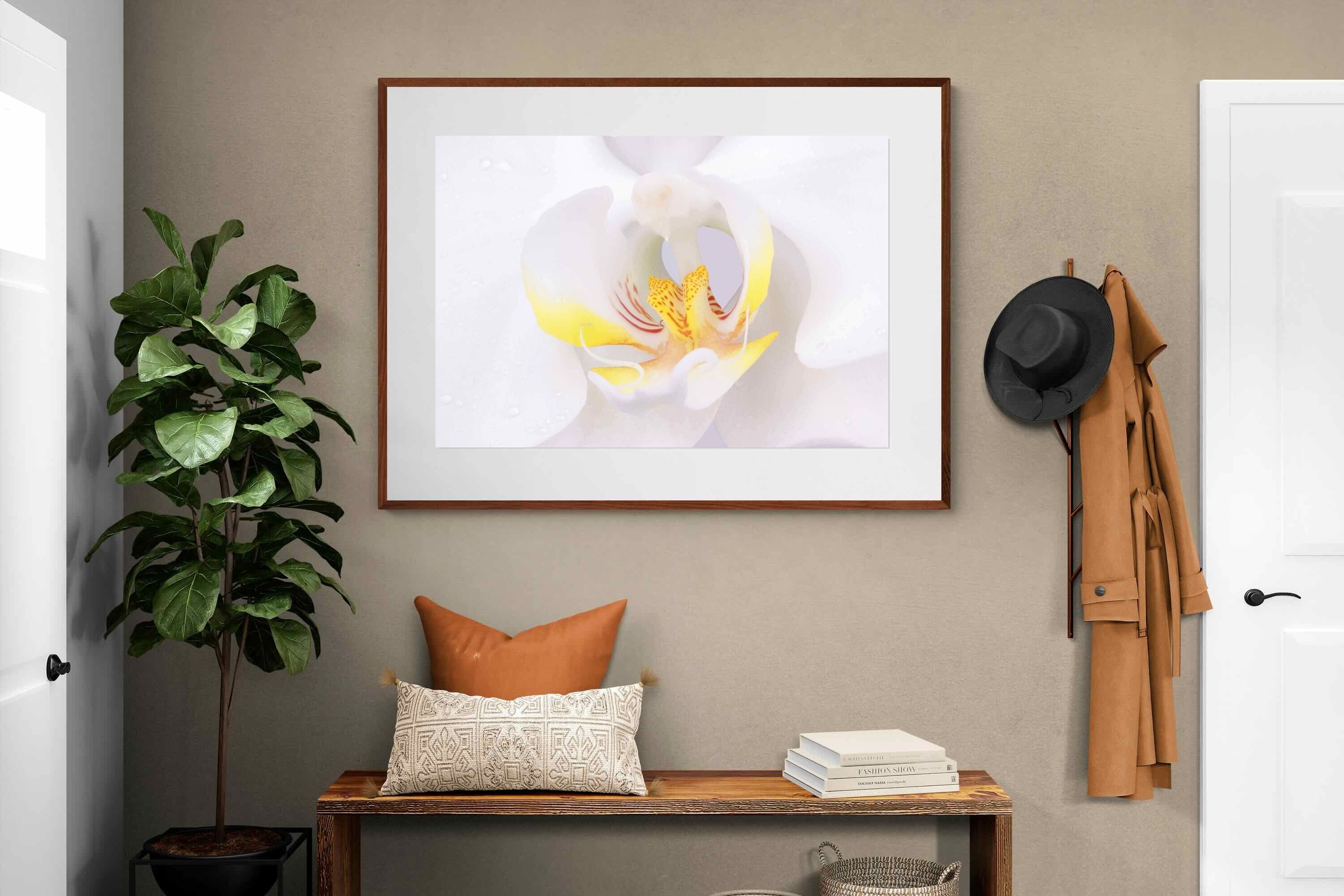 Pixalot ® Orchid