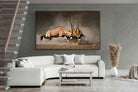 Pixalot ® Oryx (colour)