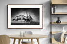 Pixalot ® Oryx