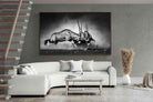 Pixalot ® Oryx