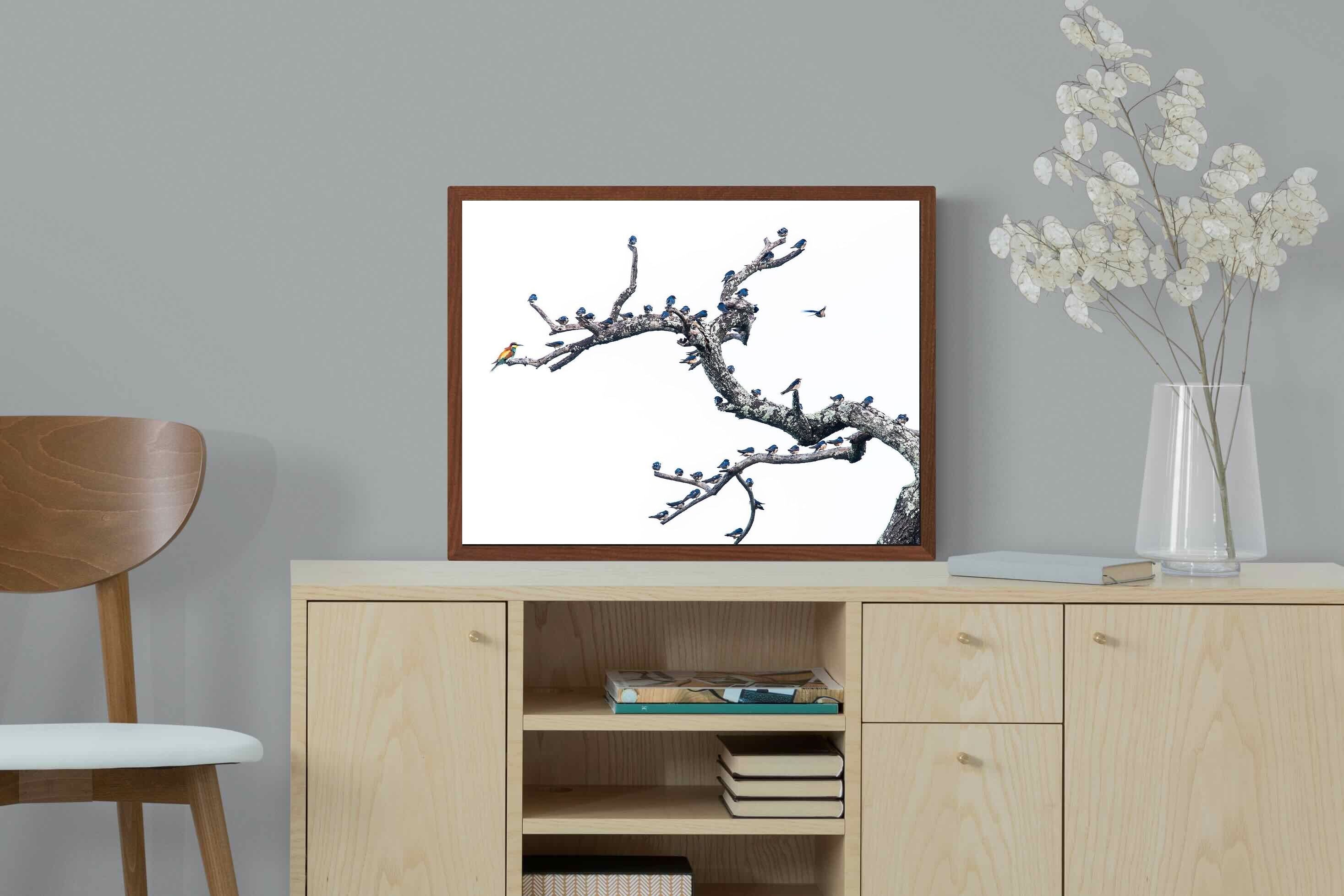 Pixalot Out of the Ordinary