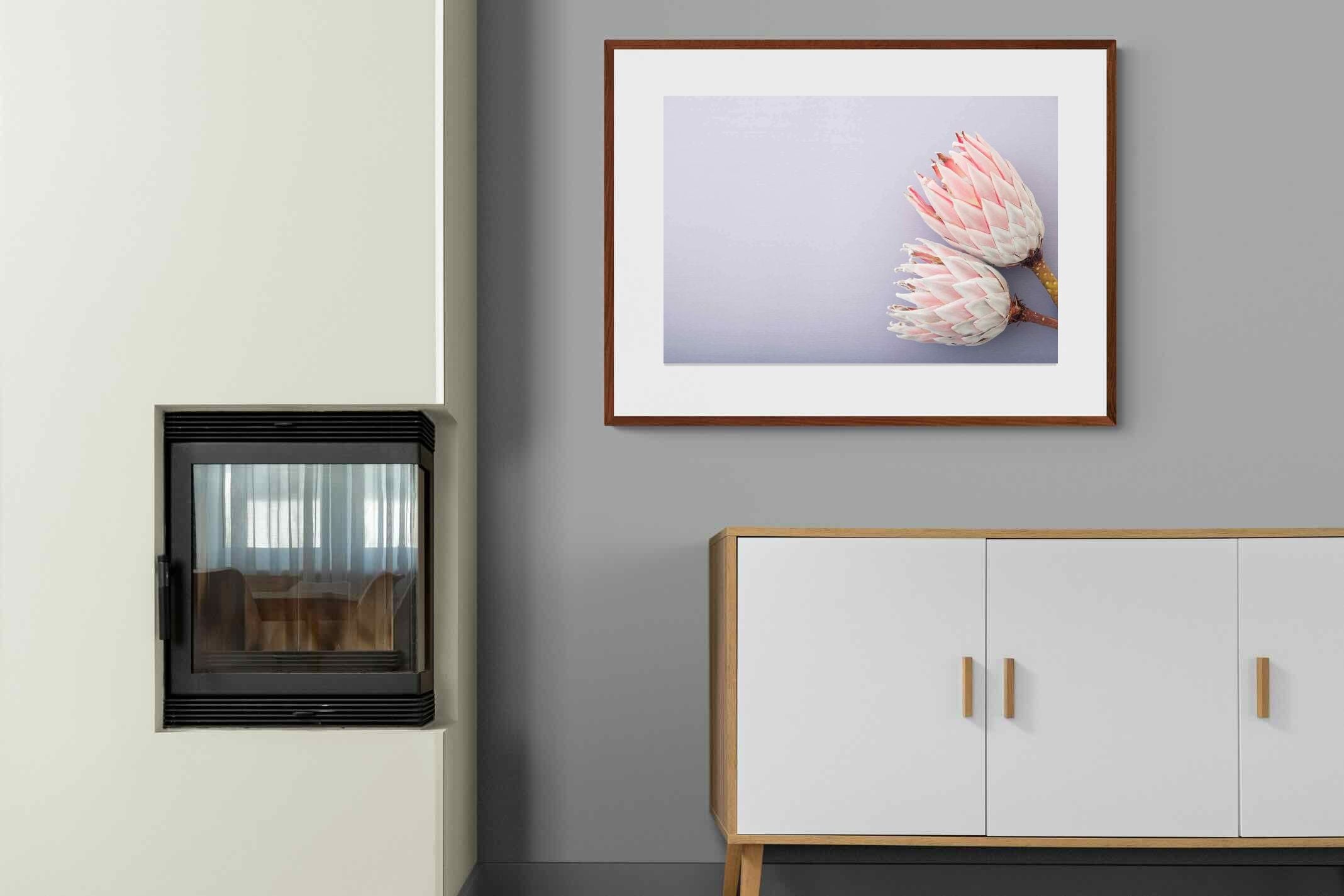 Pixalot ® Pair of Proteas