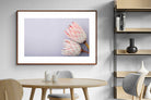 Pixalot ® Pair of Proteas