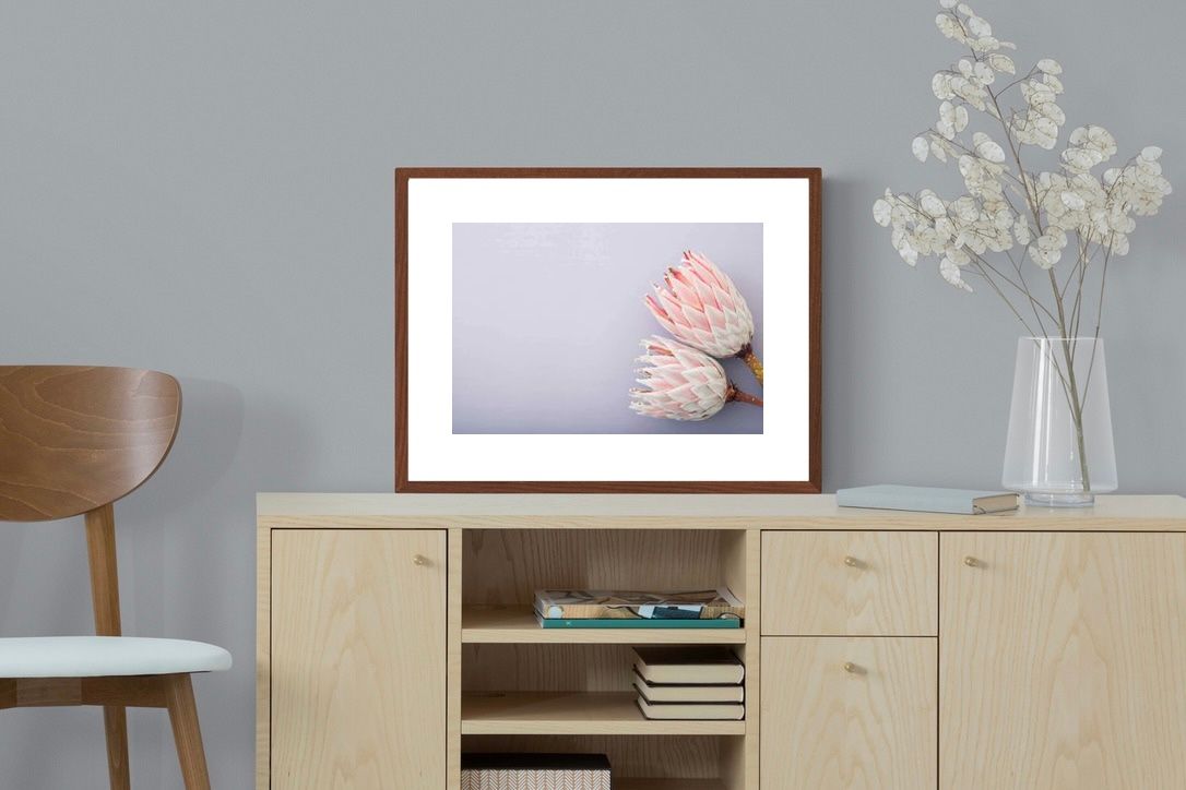 Pixalot ® Pair of Proteas