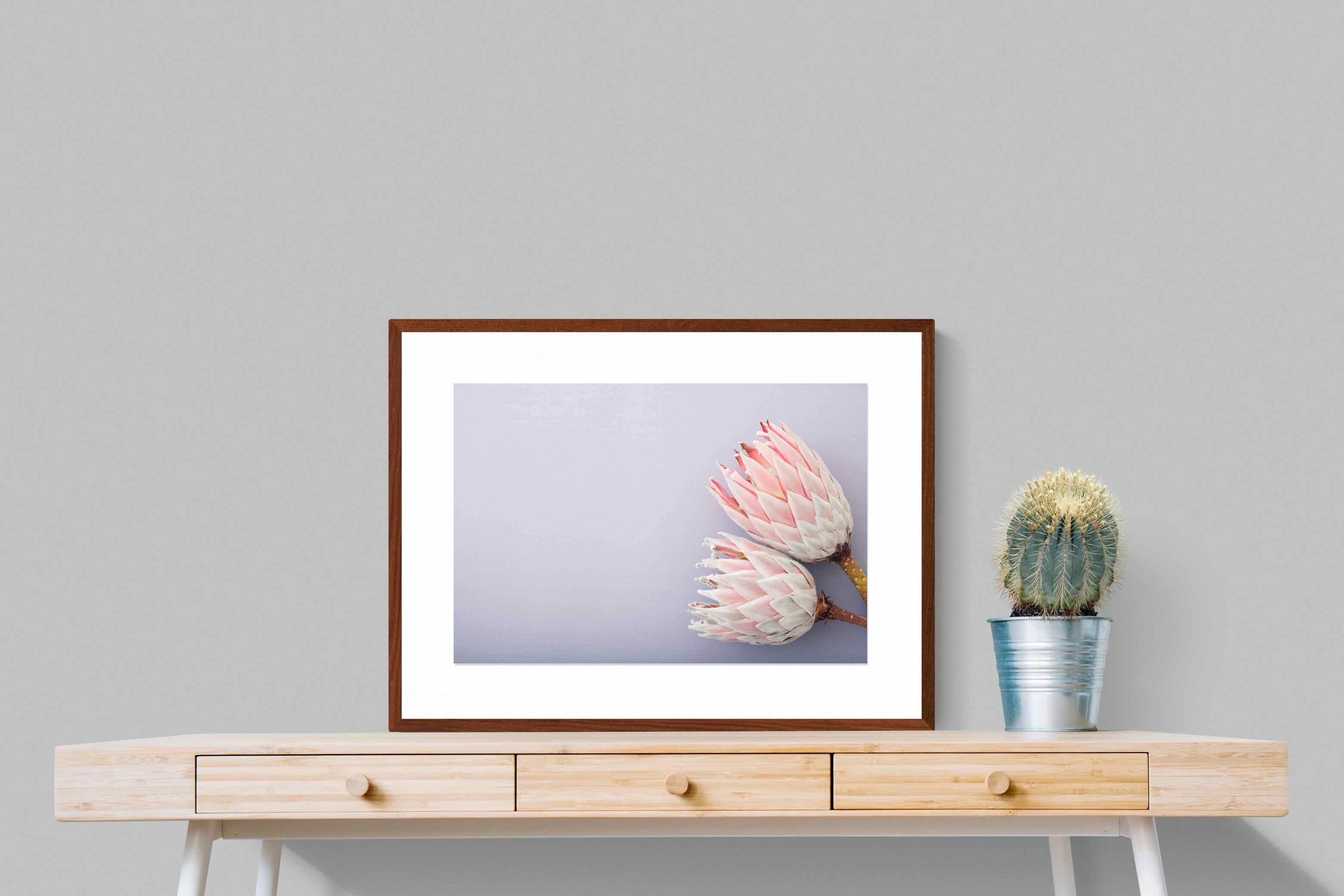 Pixalot ® Pair of Proteas