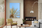 Pixalot Palm Radiance