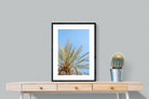 Pixalot Palm Radiance
