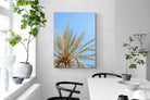 Pixalot Palm Radiance
