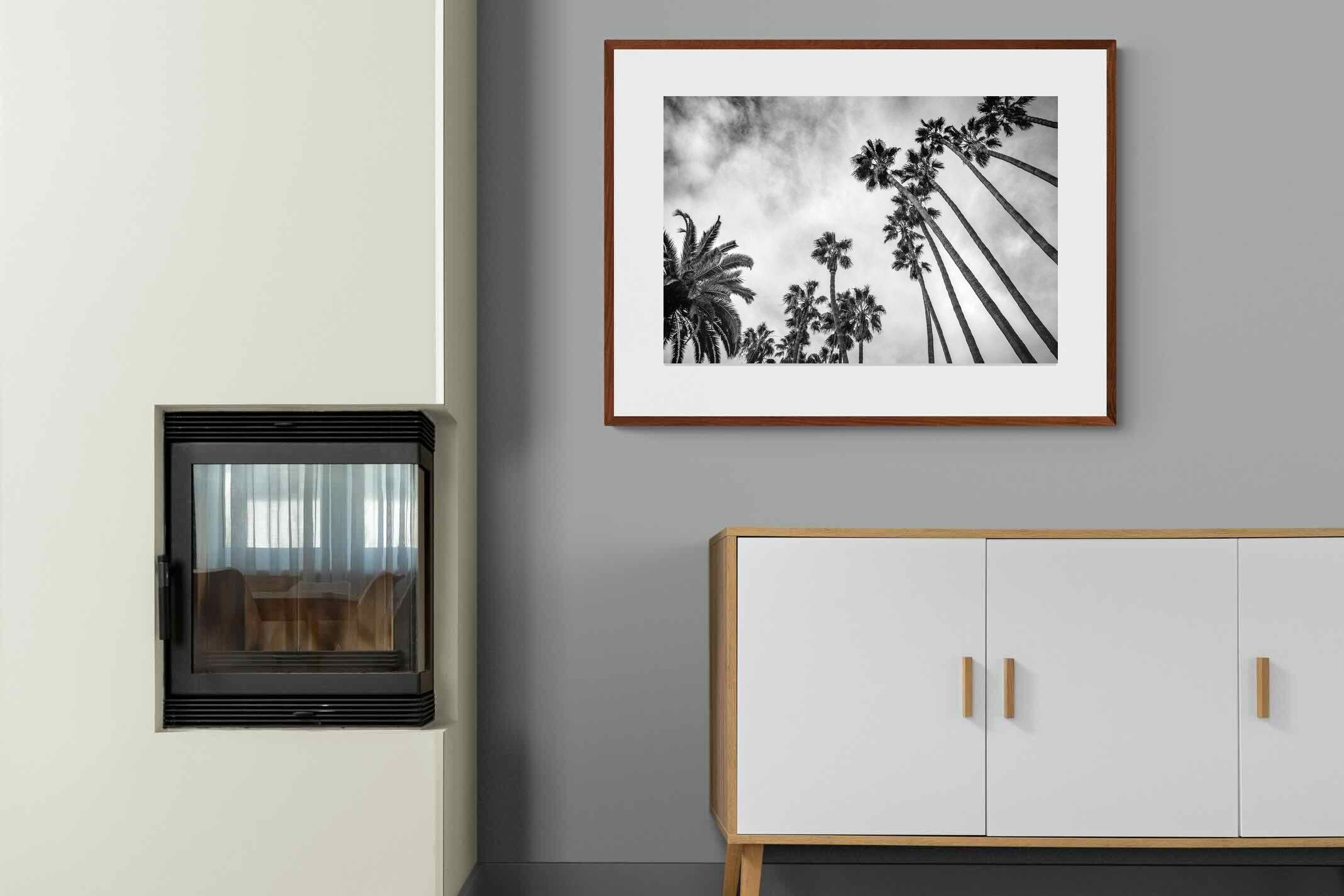 Pixalot ® Palms
