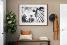 Pixalot ® Palms