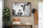 Pixalot ® Palms