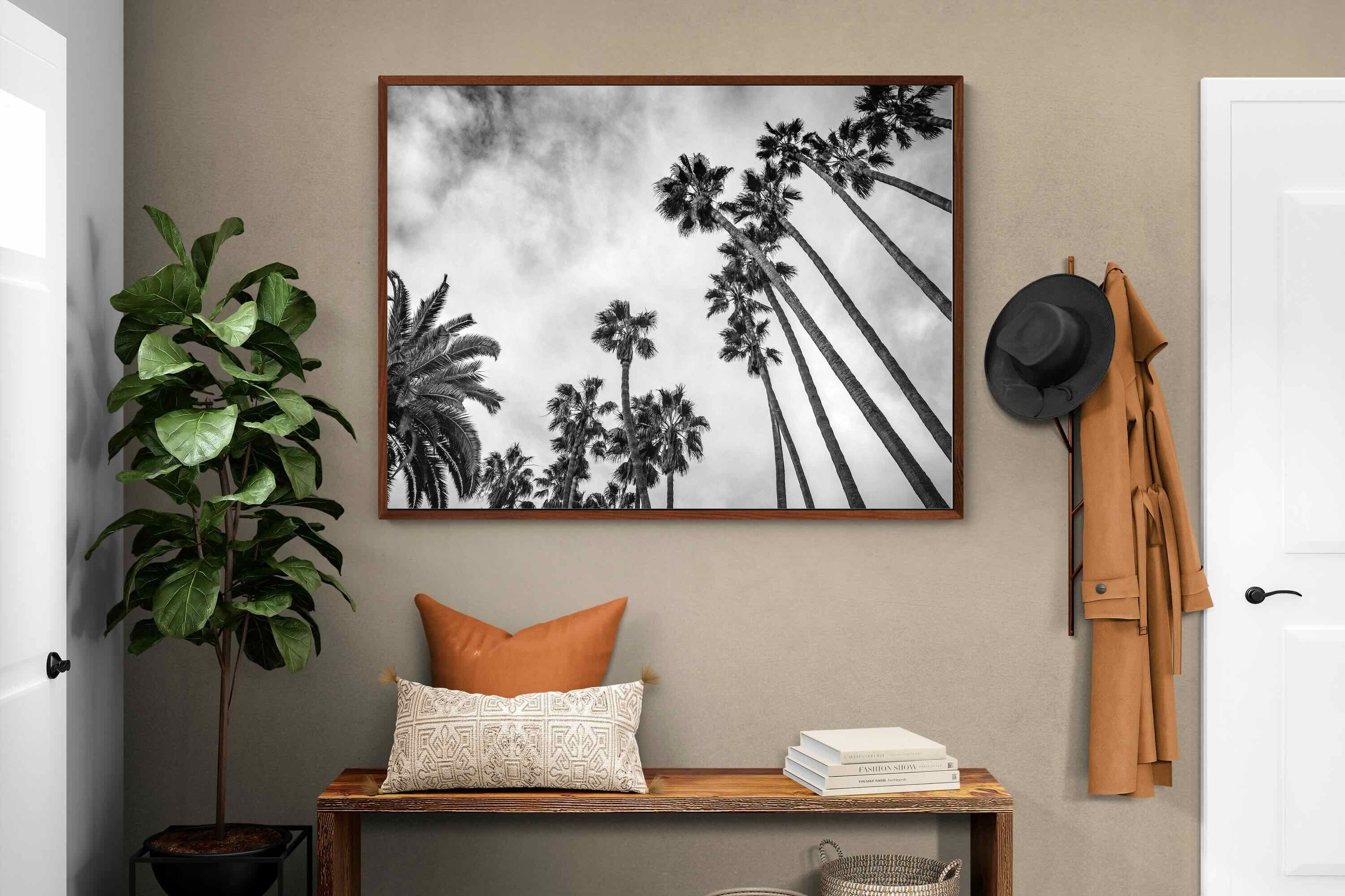 Pixalot ® Palms