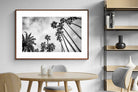 Pixalot ® Palms