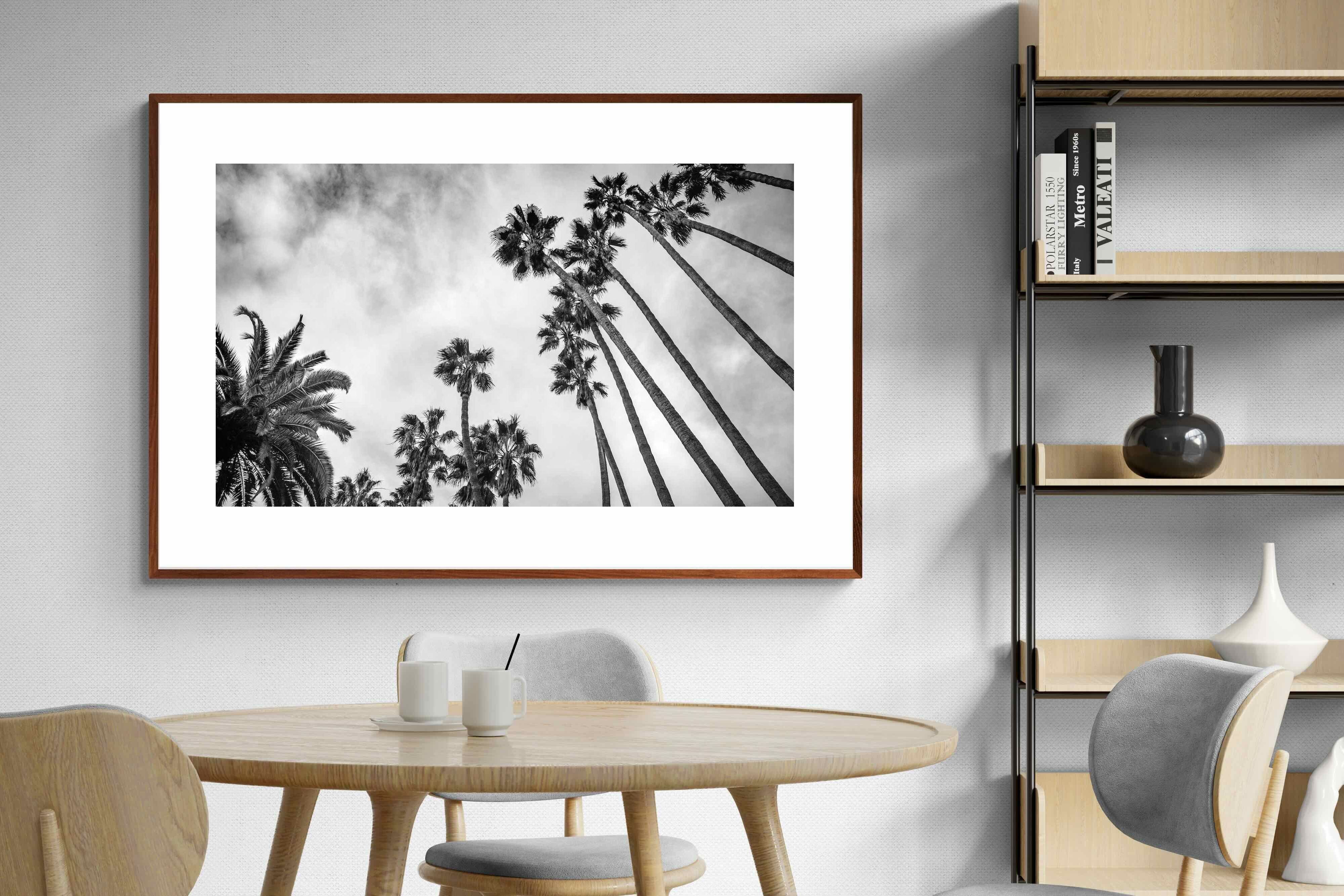 Pixalot ® Palms