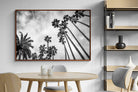 Pixalot ® Palms