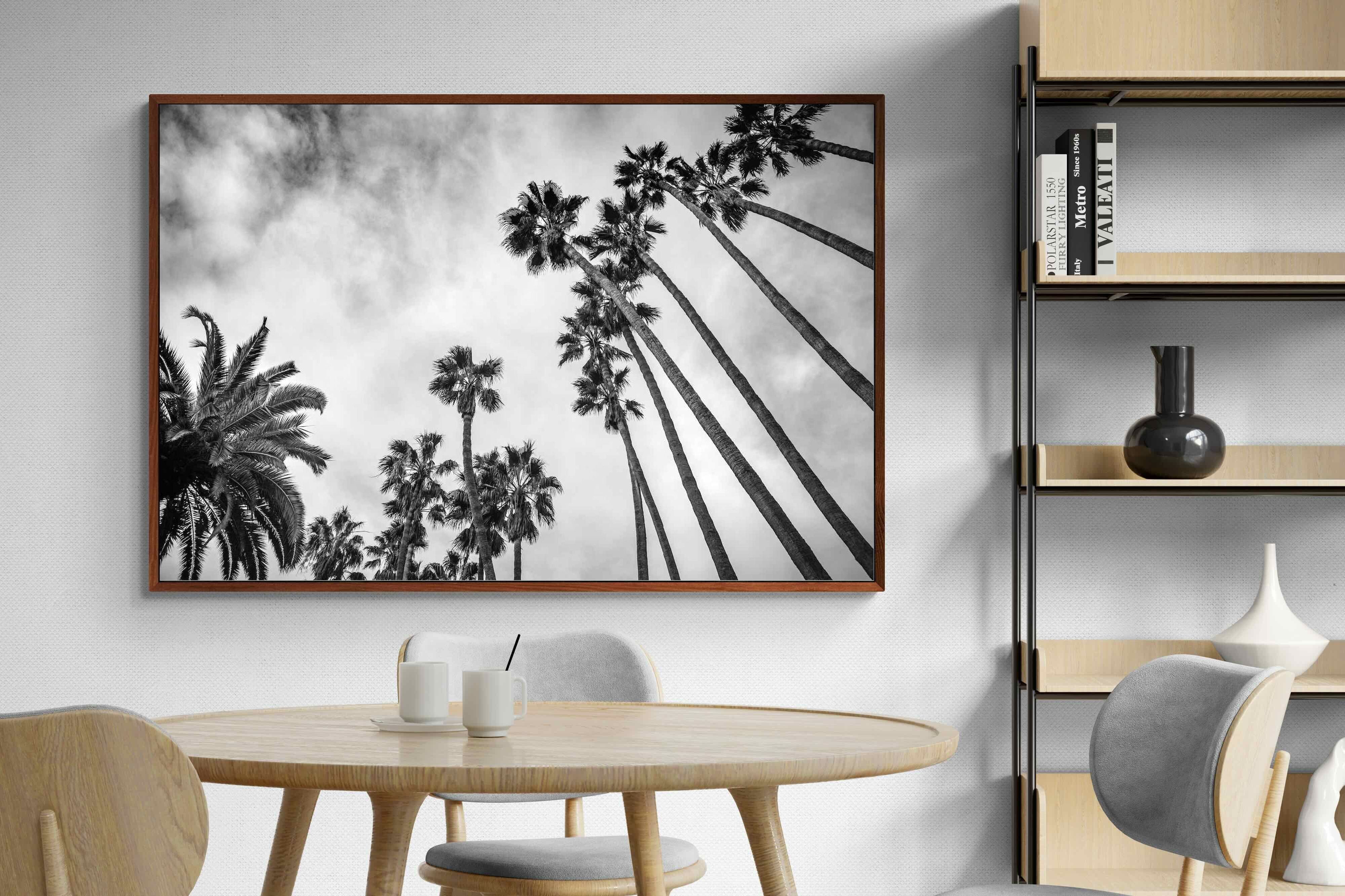 Pixalot ® Palms