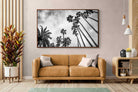 Pixalot ® Palms