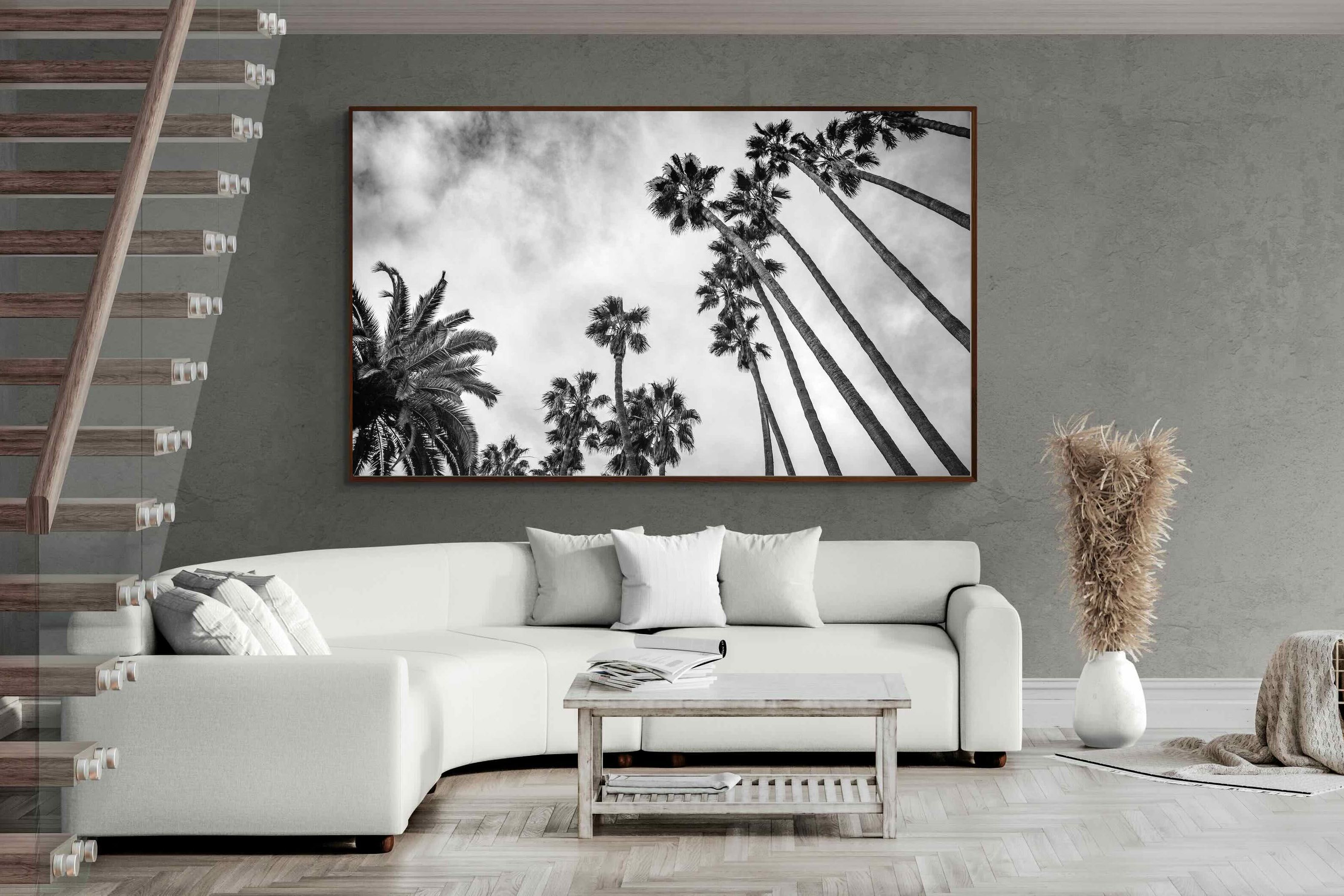 Pixalot ® Palms