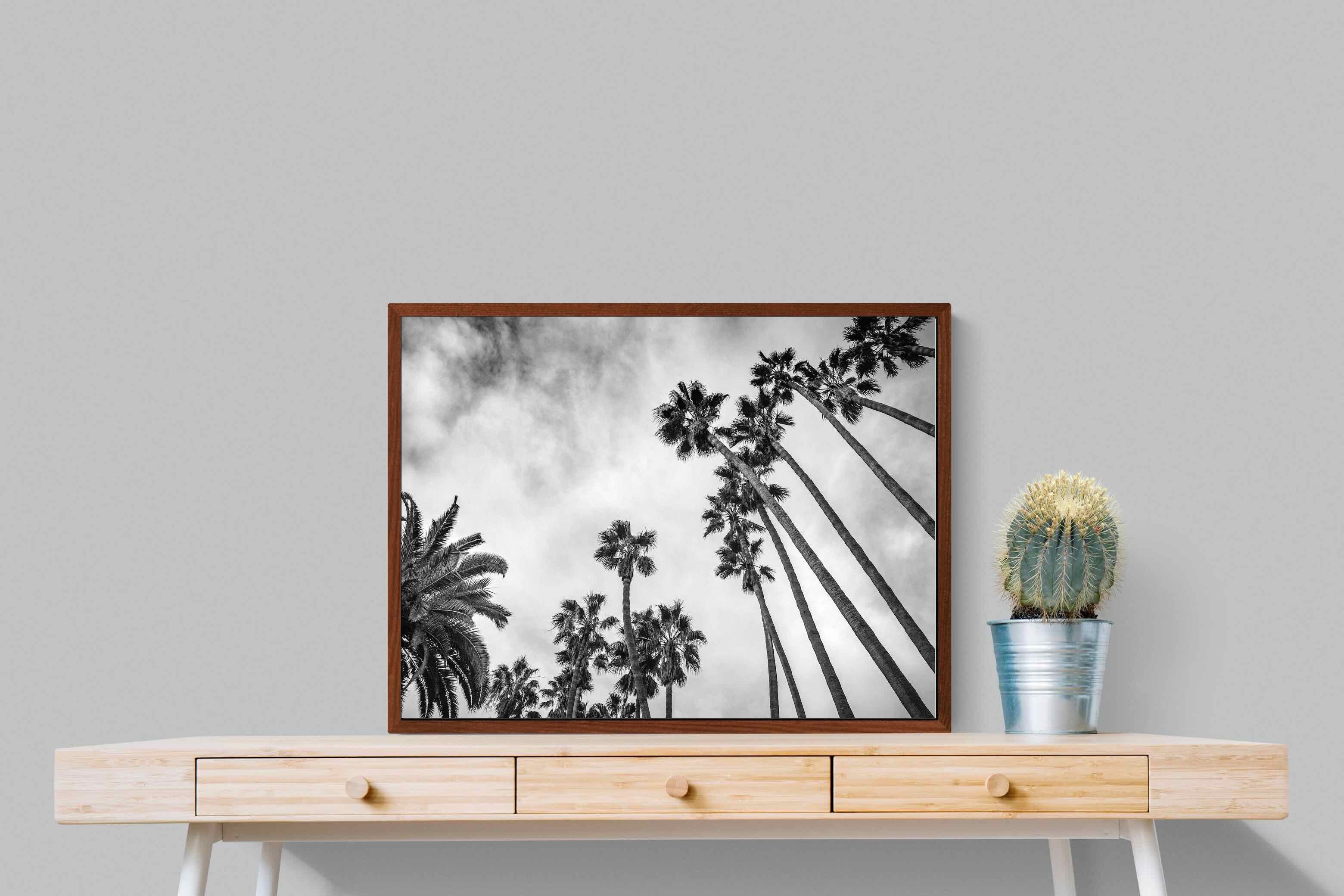 Pixalot ® Palms