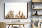 Pixalot ® Pampas Grass