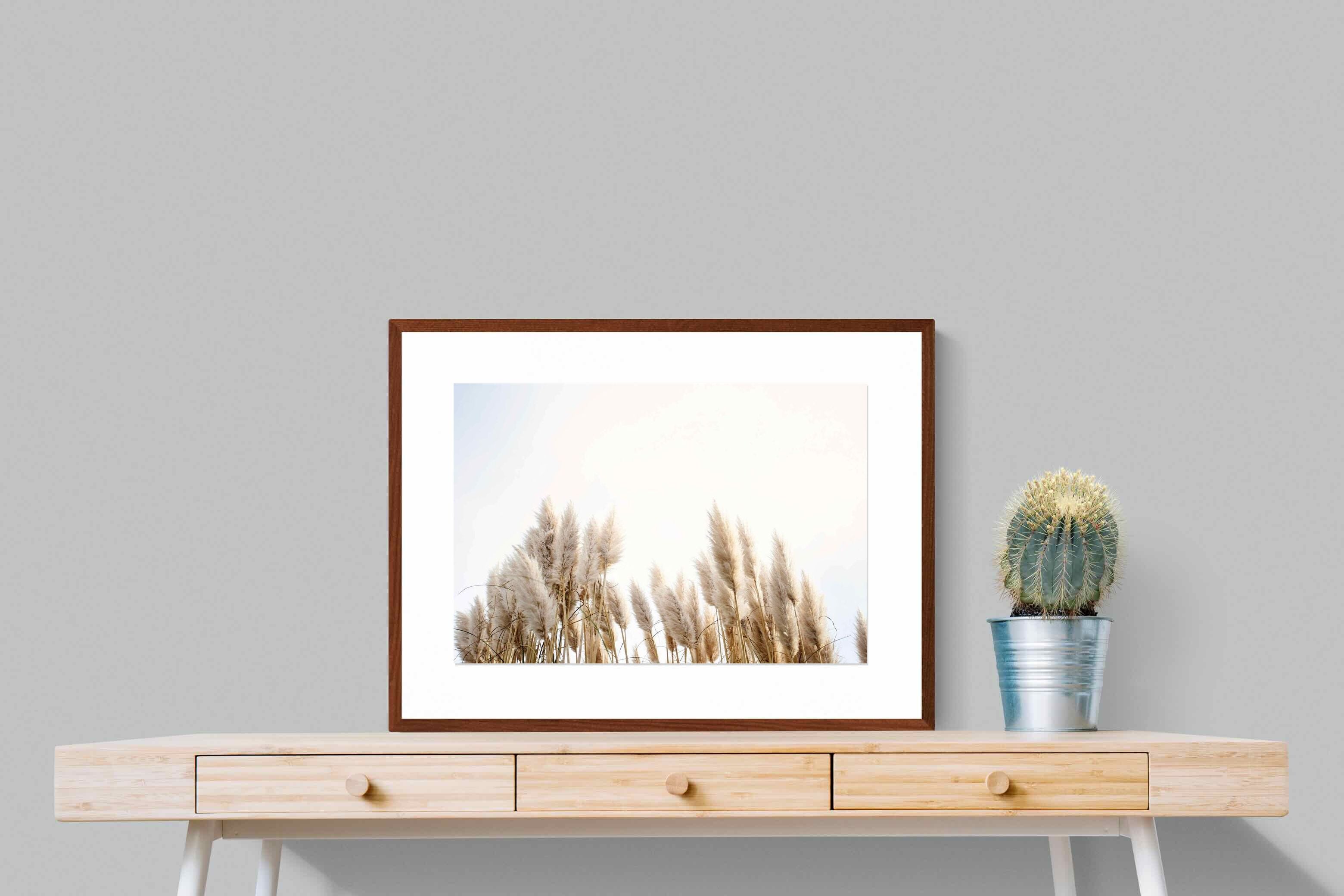 Pixalot ® Pampas Grass