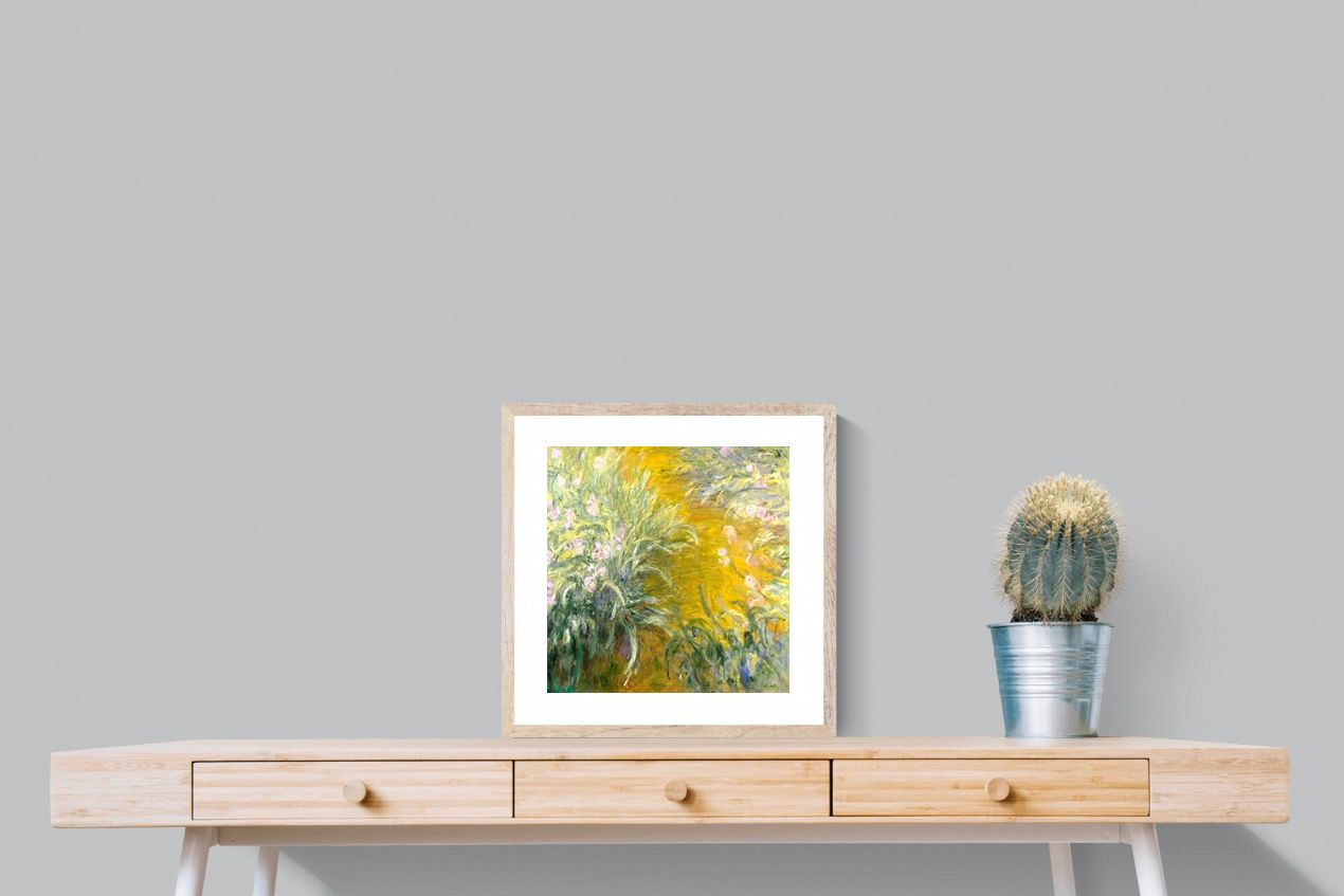 Pixalot Path through the Irises