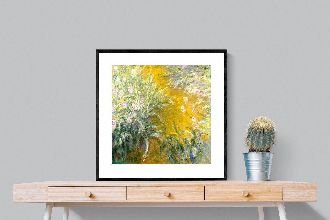 Pixalot Path through the Irises