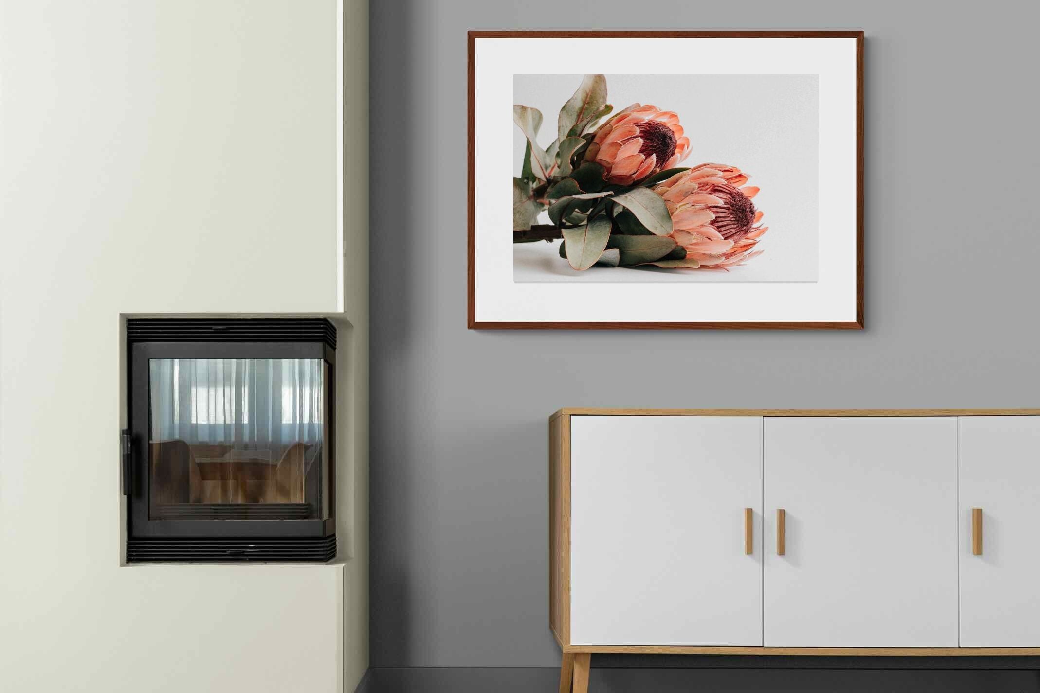 Pixalot ® Peachy Proteas