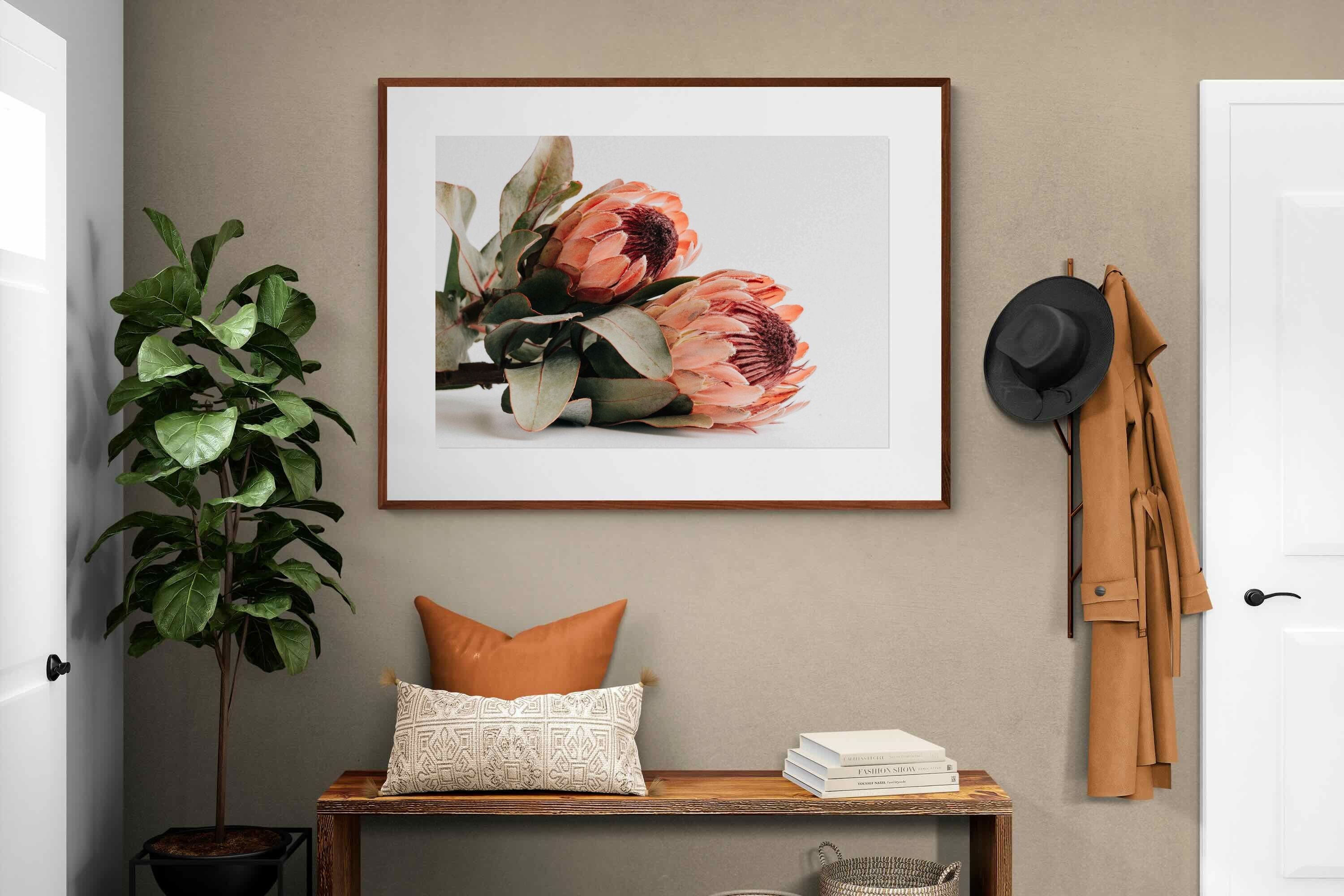 Pixalot ® Peachy Proteas