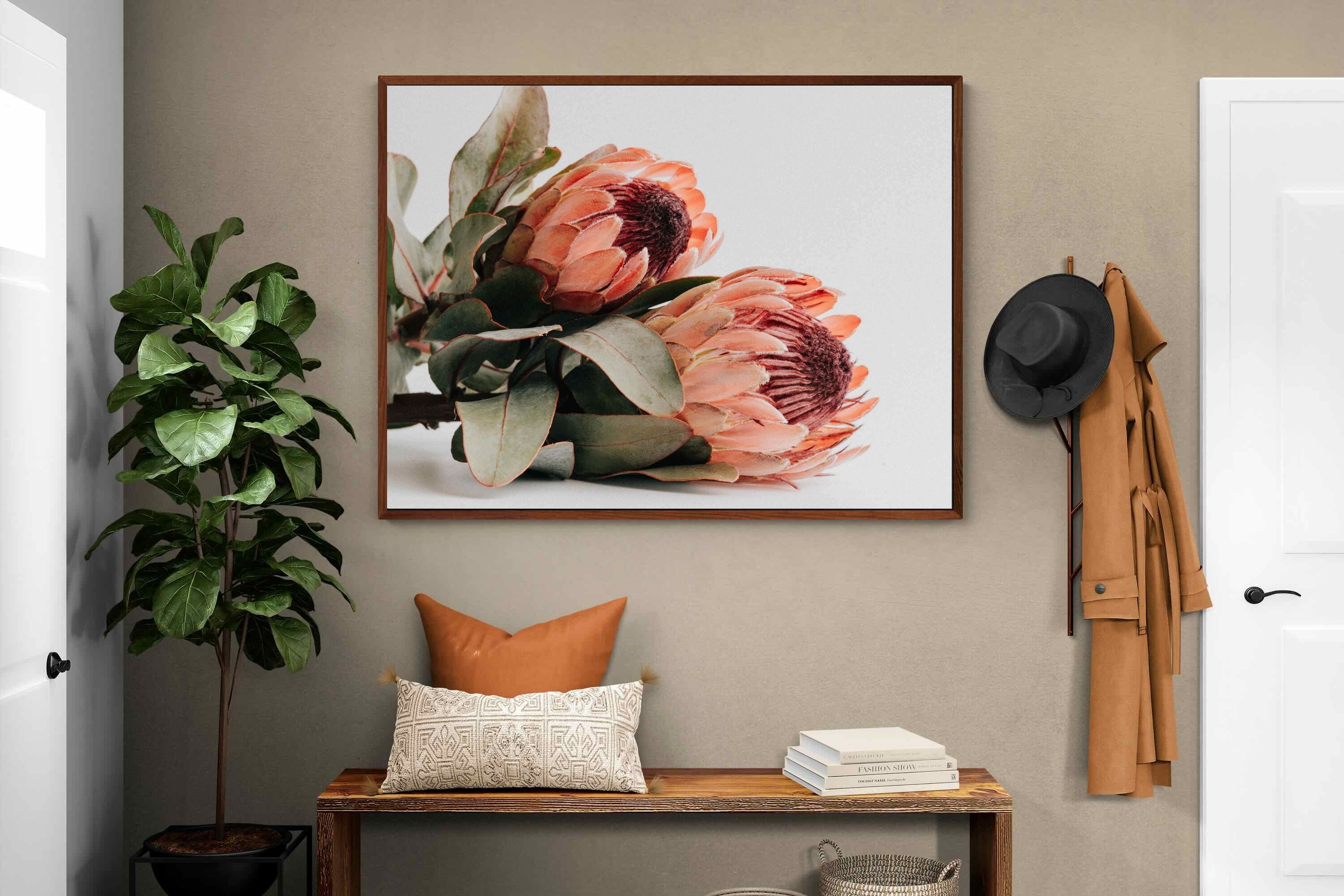 Pixalot ® Peachy Proteas