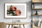 Pixalot ® Peachy Proteas