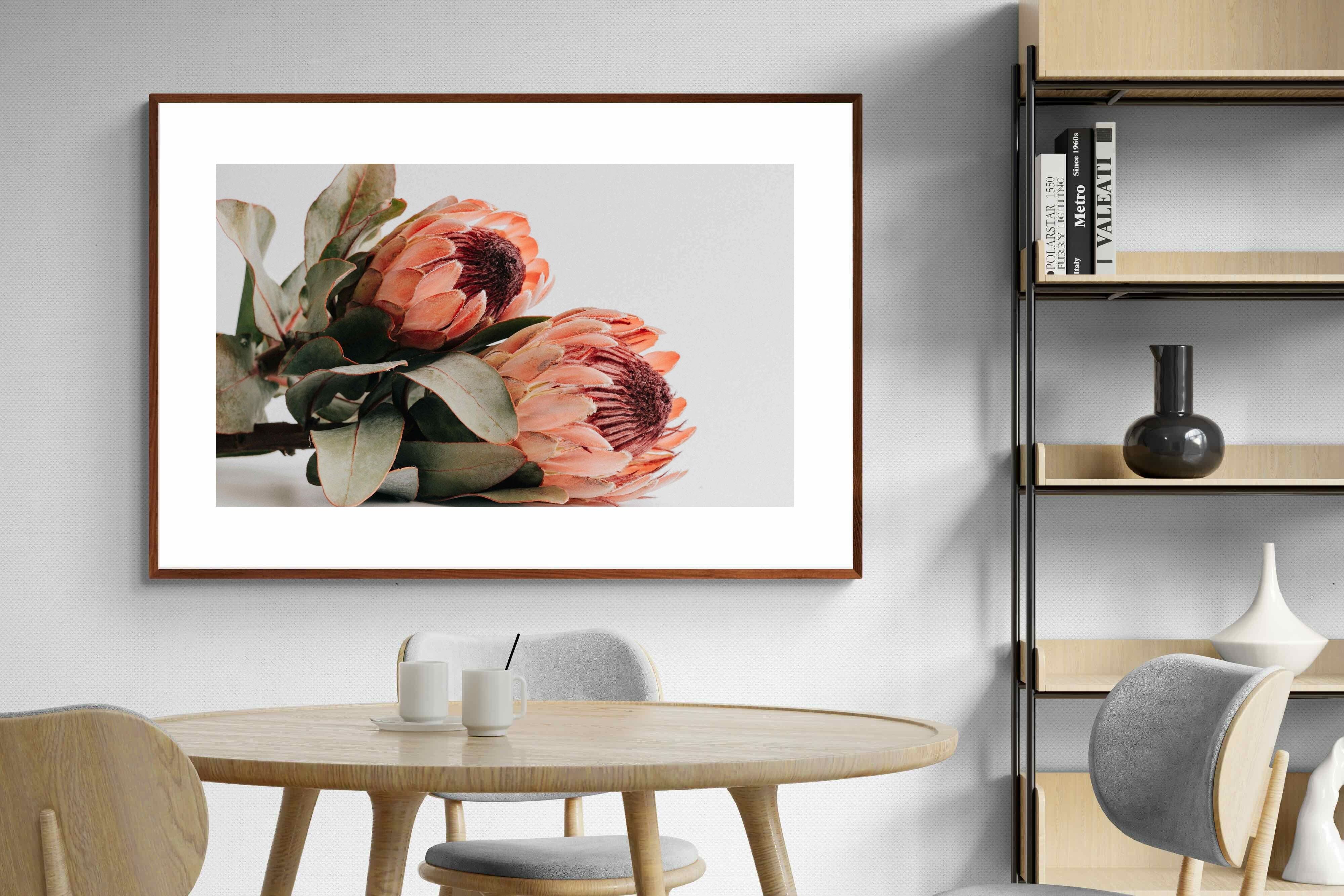 Pixalot ® Peachy Proteas
