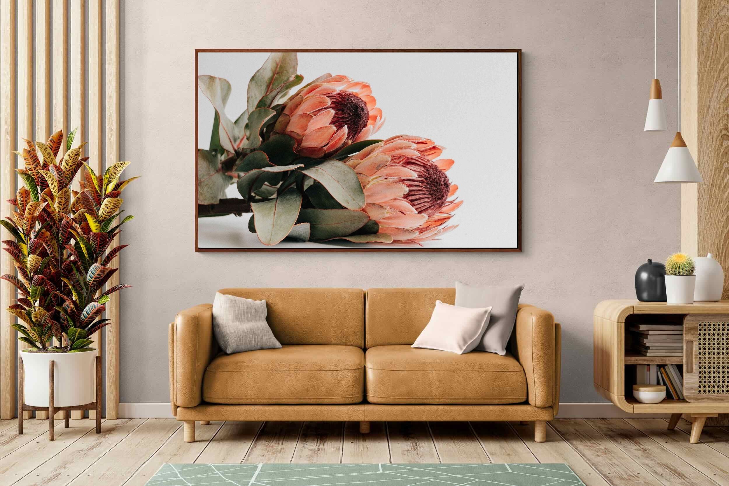 Pixalot ® Peachy Proteas