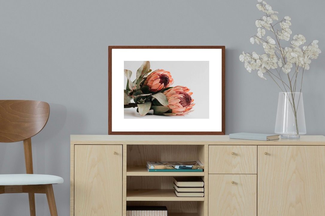 Pixalot ® Peachy Proteas