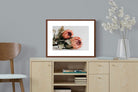 Pixalot ® Peachy Proteas