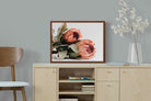 Pixalot ® Peachy Proteas