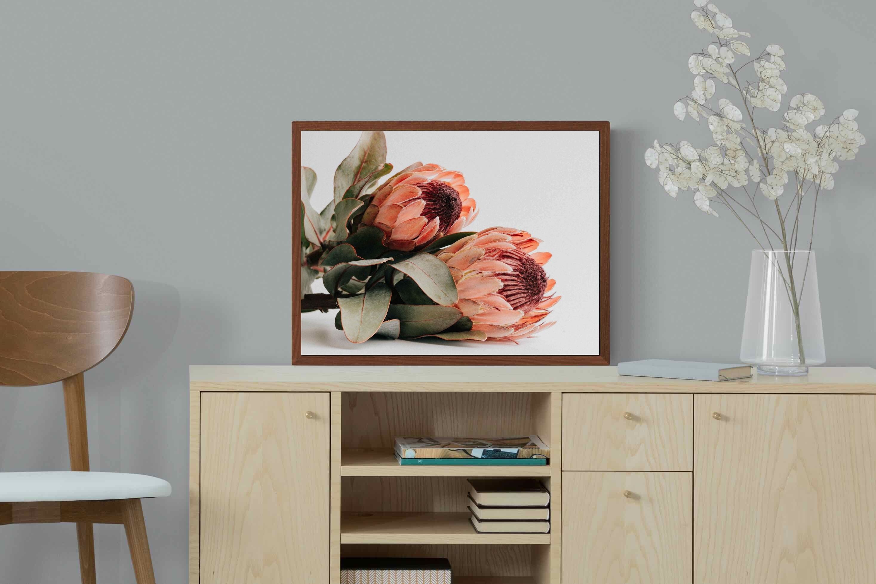 Pixalot ® Peachy Proteas