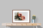 Pixalot ® Peachy Proteas