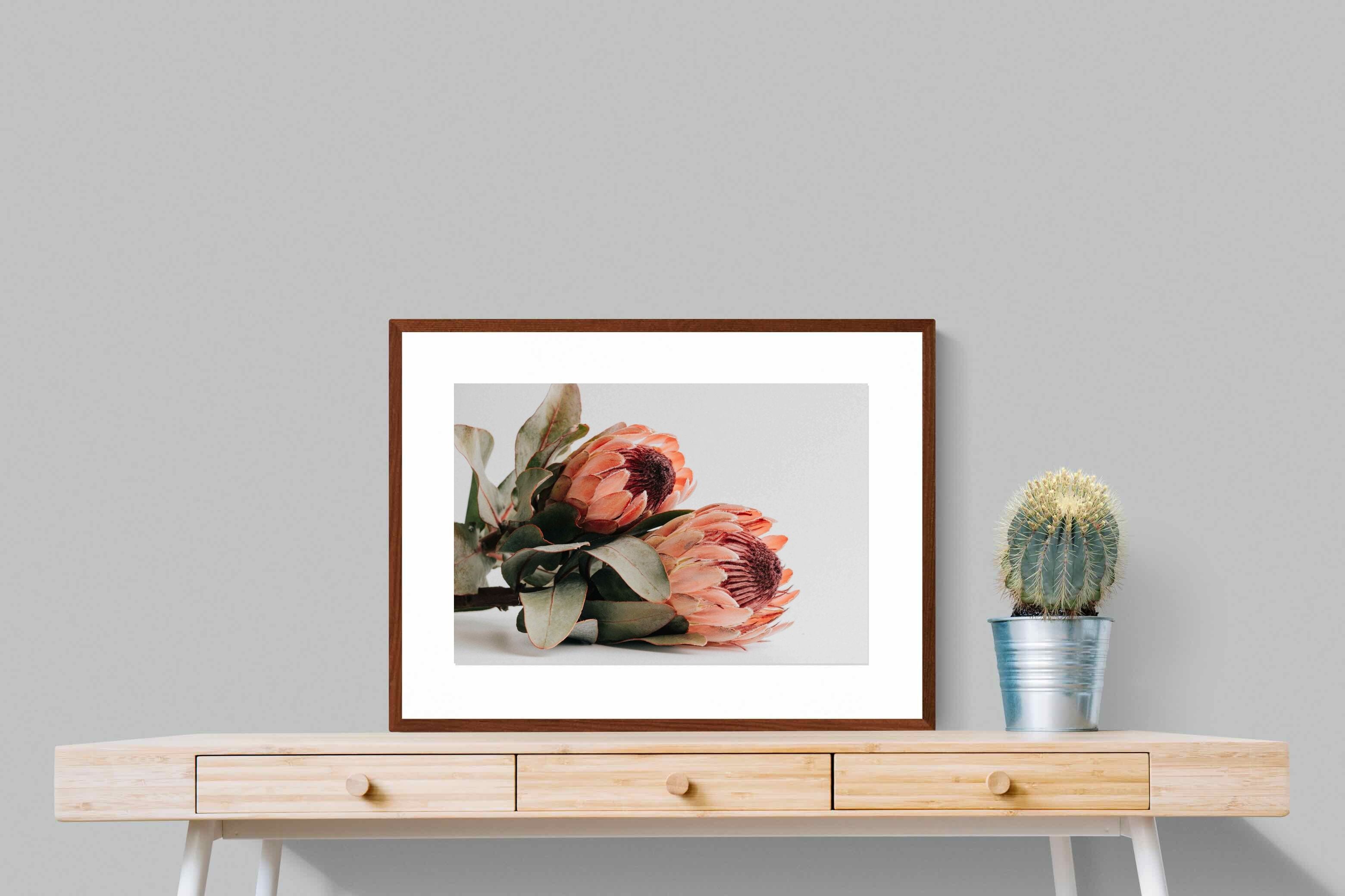 Pixalot ® Peachy Proteas