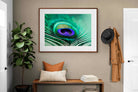 Pixalot ® Peacock Feather