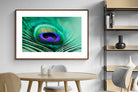 Pixalot ® Peacock Feather