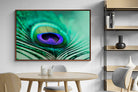 Pixalot ® Peacock Feather