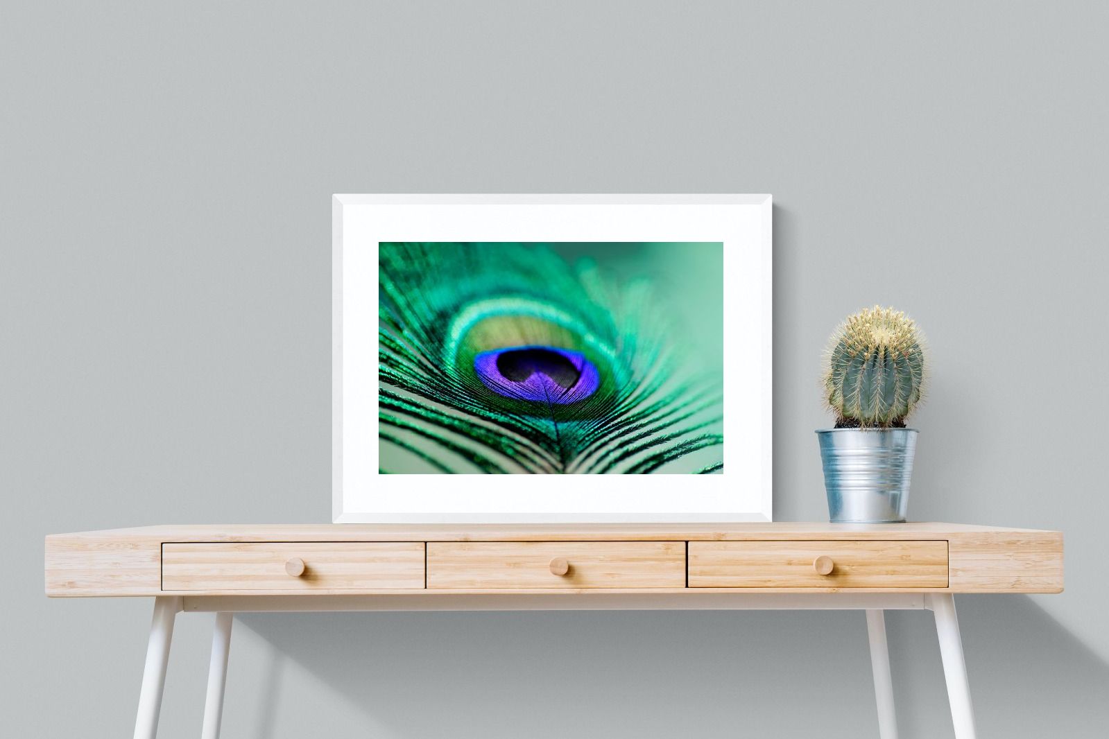 Pixalot Peacock Feather