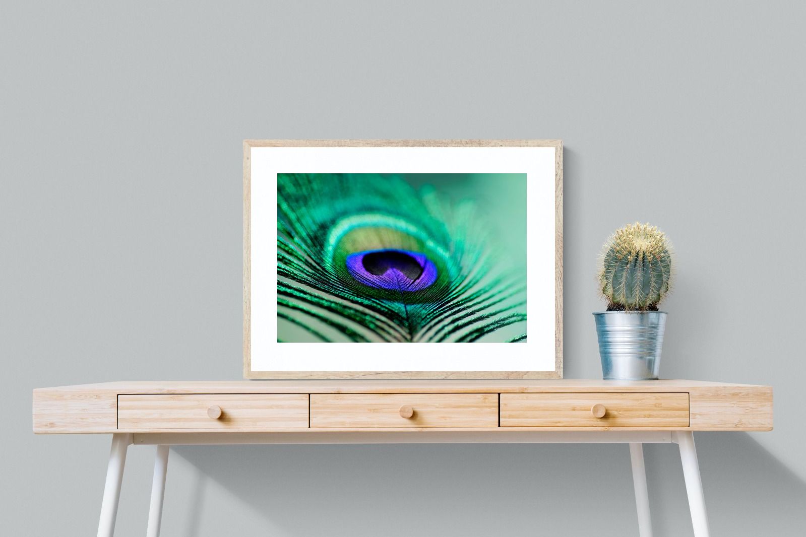 Pixalot Peacock Feather