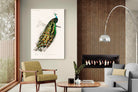 Pixalot Peafowl
